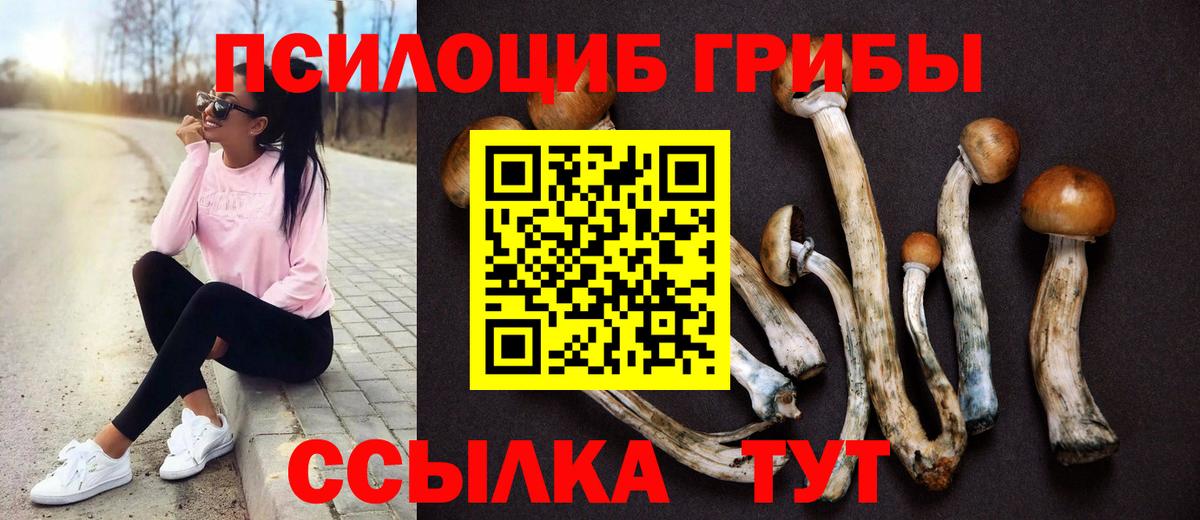 Галлюциногенные грибы мухоморы  Вход с VPN  Хасавюрт  Псилоцибиновые грибы мицелий 
